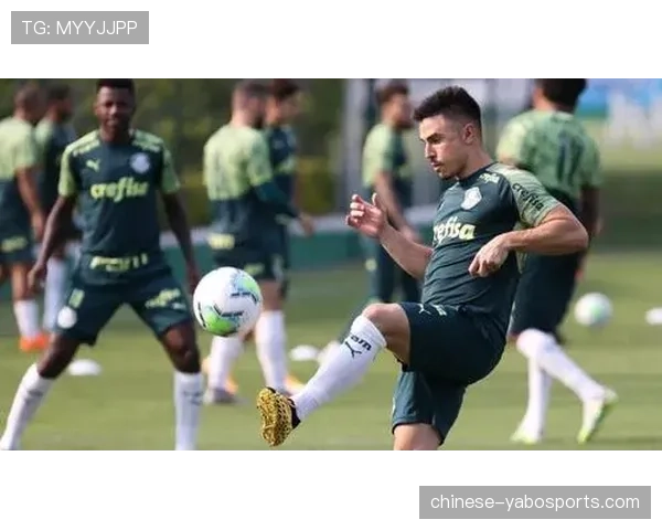 帕尔梅拉斯战术灵活性评估，根据对手特点调整能力